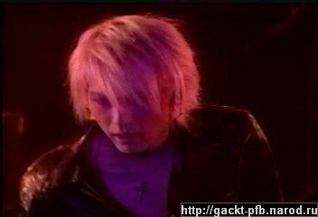 Shock_Wave_24.JPG