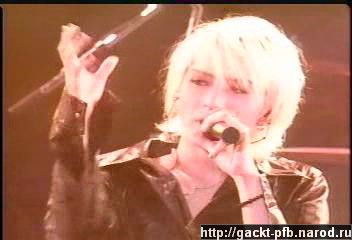 Shock_Wave_25.JPG