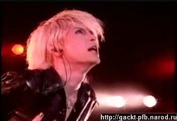 Shock_Wave_33.JPG