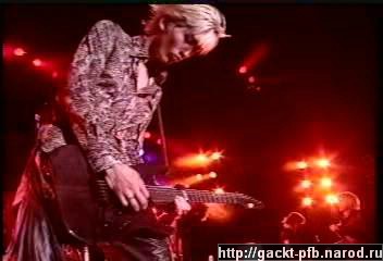 Shock_Wave_39.JPG