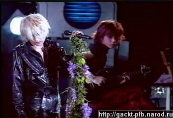 Shock_Wave_70.JPG