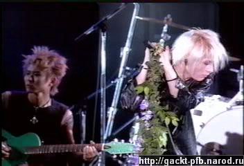 Shock_Wave_71.JPG