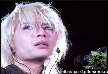 Shock_Wave_74.JPG