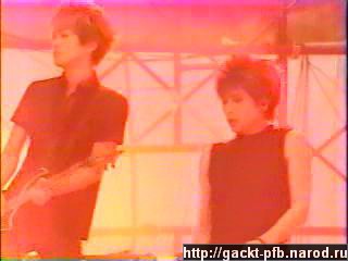 Starlight_Gig_42.JPG