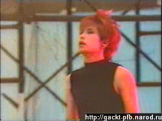 Starlight_Gig_43.JPG