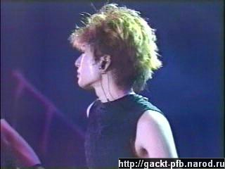 Starlight_Gig_60.JPG