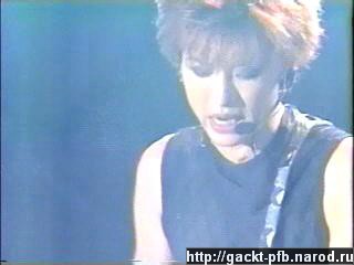 Starlight_Gig_74.JPG