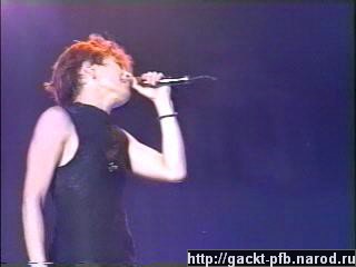Starlight_Gig_91.JPG