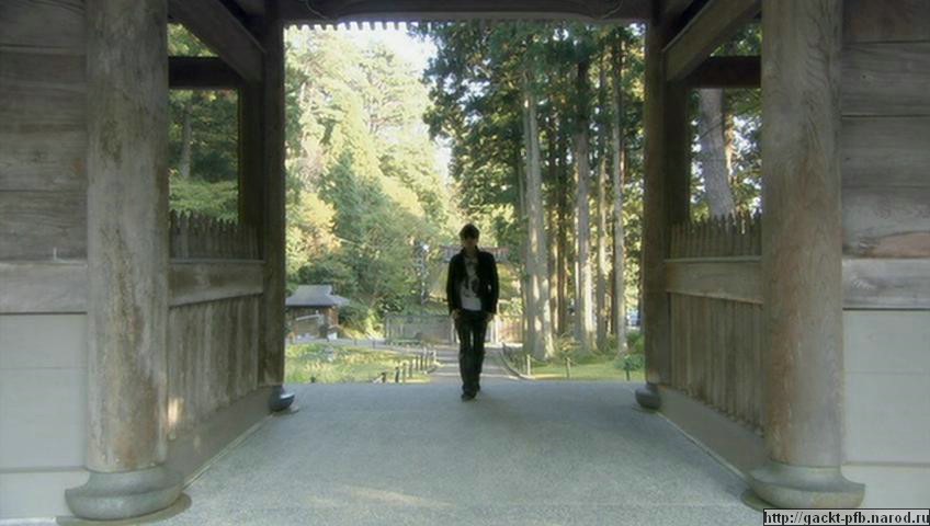037.JPG