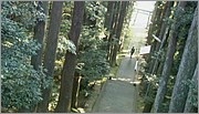 111.JPG