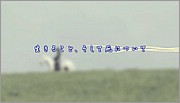 149.JPG