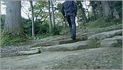 288.JPG