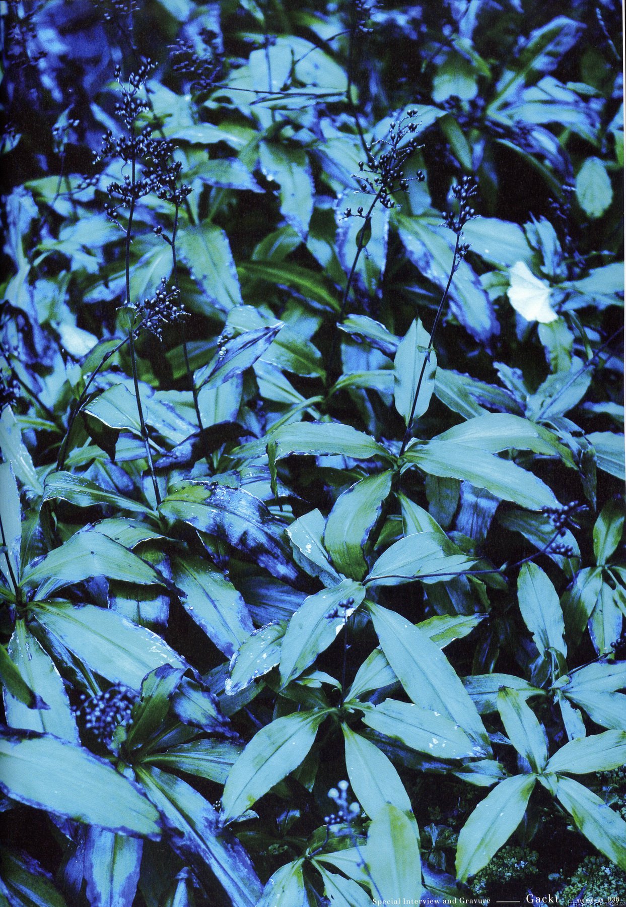 File0034.jpg